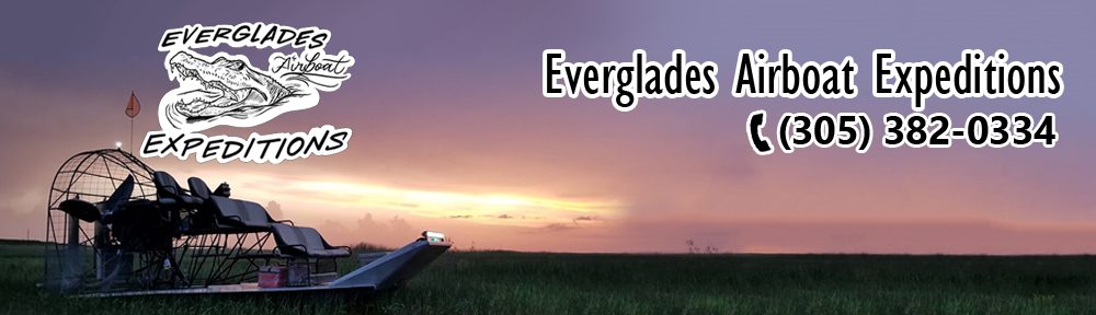 Airboat Rides Everglades | Everglades Airboat Expeditions (305) 382-0334